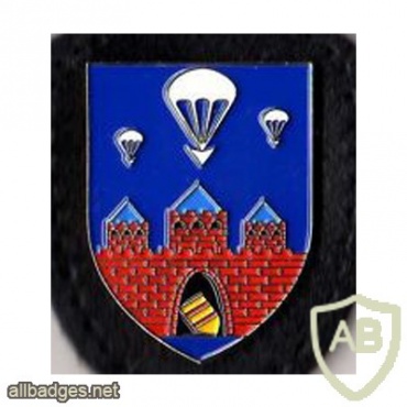 310th Airborne Field Replacement Company img11707