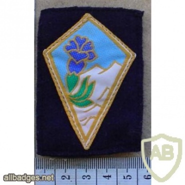French Foreign Legion 27th Mountain Infantry Brigade arm patch img11752
