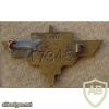 Free French WWII breast badge img11762