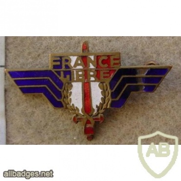 Free French WWII breast badge img11761