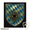 451st Military Police Battalion