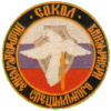 21th Brigade, SF Group Sokol (Falcon)