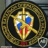 351st separate operative purpose battalion