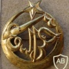 French Army 3rd Algerian Tirailleurs Regiment pocket badge