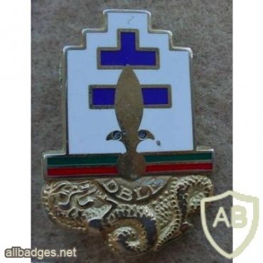 French Foreign Legion 13th Demi Brigade pocket badge img11867