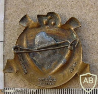 1st Free French Army 67th North African Artillery (67eme Regiment dArtillerie Nord Africaine) pocket badge img11883