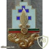 French Foreign Legion 13th Demi Brigade pocket badge