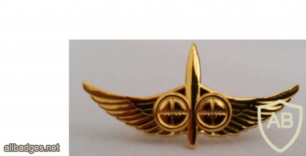Combat Intelligence Collection fighter - Golden ( Outstanding ) img11865