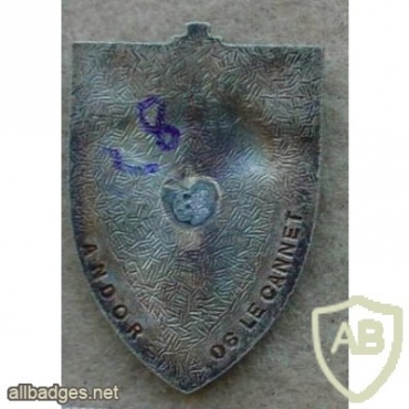 FRANCE 1st Armour Regiment pocket badge, old img11888