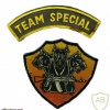 101st special Brigade, SF Group Cerber patch