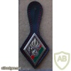 French Foreign Legion 4th Foreign Regiment pocket badge img11870