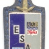 FRANCE Senior School of Ordnance pocket badge