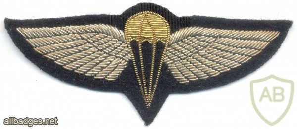 BAHRAIN Airborne Parachute jump wings, bullion, silver #2 img11942