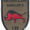 AUSTRIA Army (Bundesheer) -  1st Battery, 9th Anti-Tank Artillery Battalion patch img11969