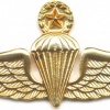 COLOMBIA Master Parachutist wings, type 4