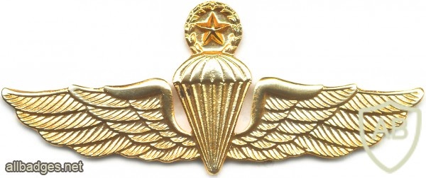 COLOMBIA Master Parachutist wings, type 4 img12056