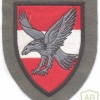 AUSTRIA Army (Bundesheer) - Air Division patch, printed img12023