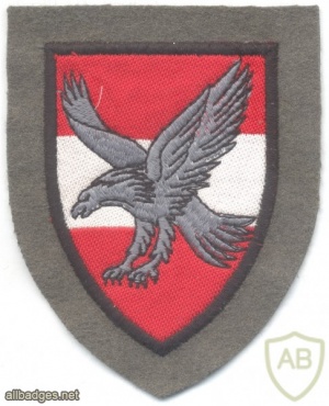 AUSTRIA Army (Bundesheer) - Air Division patch, printed img12023