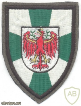 AUSTRIA Army (Bundesheer) - Tyrol Military Command sleeve patch, dress uniform img12020