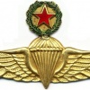 COLOMBIA Master Parachutist wings, type 2