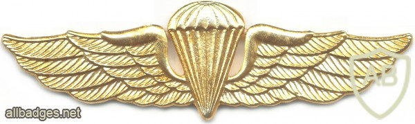 COLOMBIA Basic Parachutist wings, type- 4 img12055
