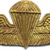 COLOMBIA Basic Parachutist wings, type- 1