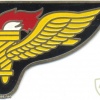 COLOMBIA Pathfinder badge, obsolete img12069