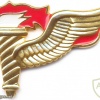 COLOMBIA Pathfinder badge, current