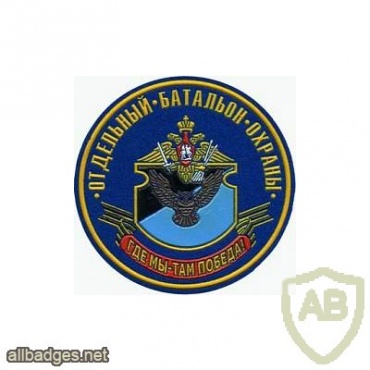 131st separate security battalion patch, type 2 img12074