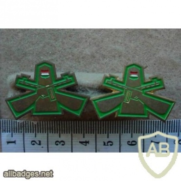 Hungary Army Guards Unit troops branch insignia img12294