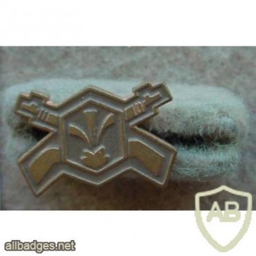 Hungary Army Chemical Defence branch insignia img12293