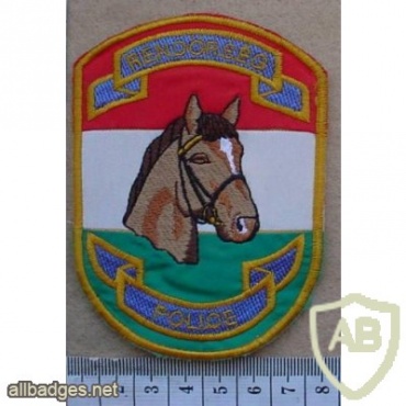 Hungary National Police (Rendorseg) Mounted Police arm patch img12284