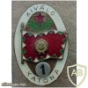 Hungarian Distinguished Soldier proficiency badge