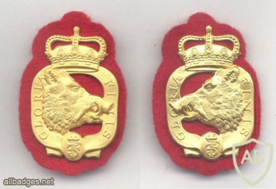 DENMARK The Prince's Life Regiment (Danish Prinsens Livregiment) collar badges img12337