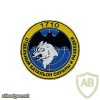 1710th separate security and intelligence battalion