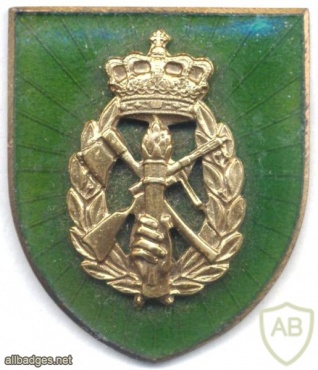 DENMARK Home Guard military service award badge, old img12340
