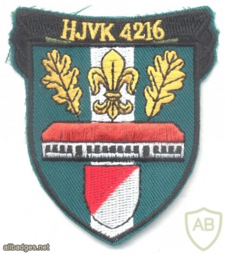 DENMARK Army Home Guard Company 4216 sleeve patch img12339