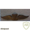 Indonesian National Police Basic paratrooper wings img12461