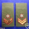 Command sergeant major img12459