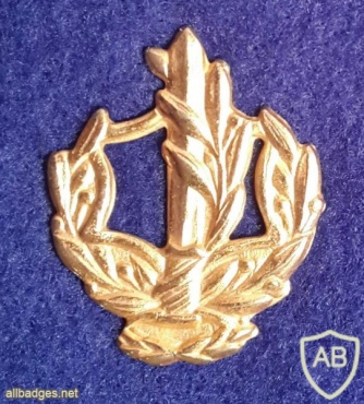דרגת צווארון רב סמל ראשון מתקדם (רס"מ) - חיל הים. img12453