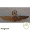 Indonesian Air Force Master paratrooper wings