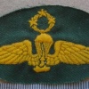 Indonesian Marine Corps Master Paratrooper wings - 300 Jumps, combat dress
