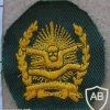Indonesian Air Force Freefall paratrooper wings, combat dress