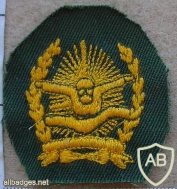 Indonesian Air Force Freefall paratrooper wings, combat dress img12465