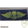Indonesian National Police Basic paratrooper wings, combat dress img12471