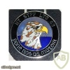 63rd Air Transportation Wing, Staff