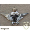 IRAN Parachutist wings, Senior img12578