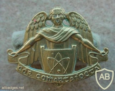 Irish Army Signals collar badge, brass, voided img12649