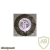 Irish Army staybright cap badge img12648