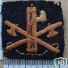 Blackshirts Other Ranks sleeve badge img12694